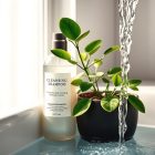 Szampon oczyszczający: jak dopasować częstotliwość mycia, by nie przesuszyć skóry głowy i włosów